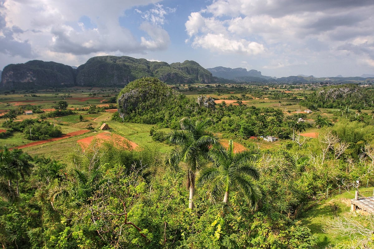 Das Vinales-Tal auf Kuba mit Mogotes und Feldern