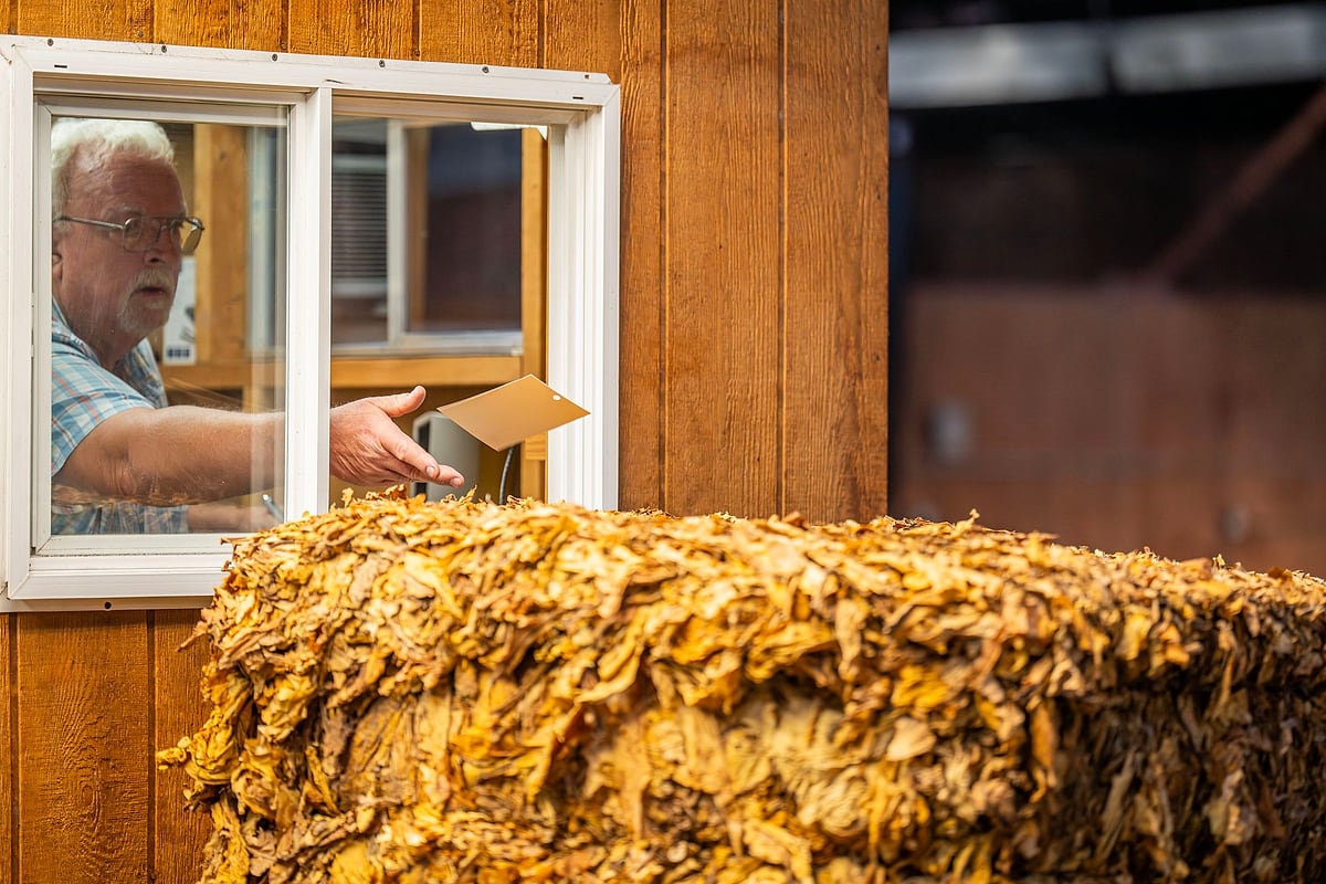 Arbeiter in einer Tabakaufbereitungsanlage