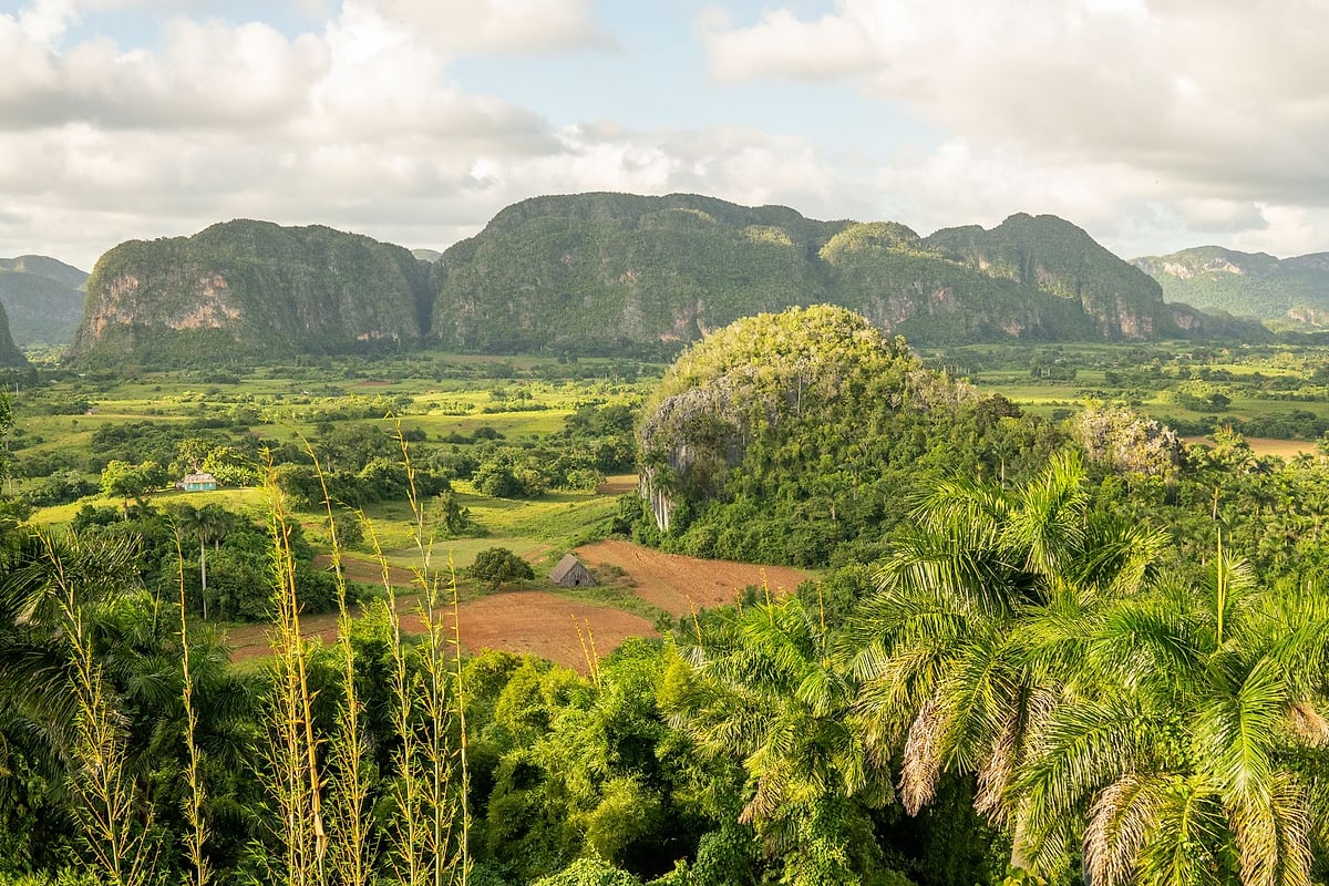 Landschaft des Vinales-Tals mit Kalksteinhügeln