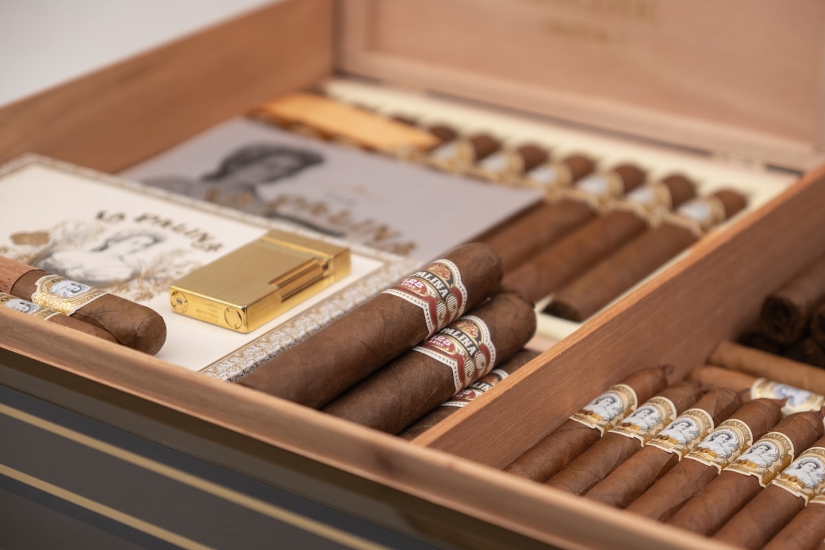 Geöffneter Humidor mit sortiert eingelegten Zigarren