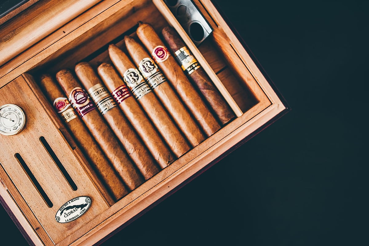 Humidor-Einlage mit sortierten Zigarren und eingebautem Hygrometer
