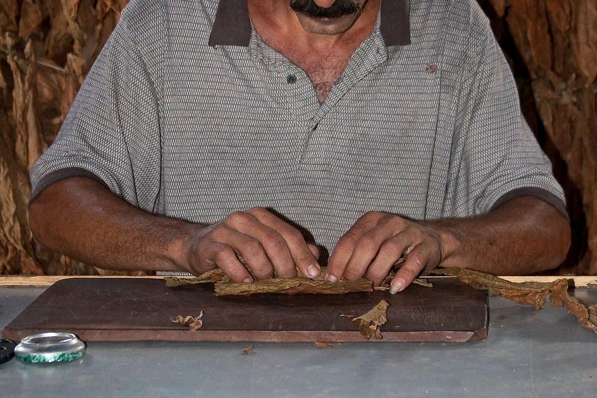 Torcedor rollt ein Deckblatt auf dem Rolltisch