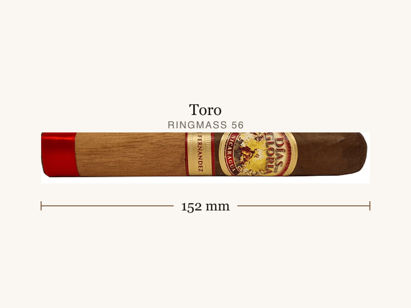 AJ Fernandez AJ Fernandez Dias de Gloria Toro, Maßangaben: Länge 152 mm, Ringmaß 56