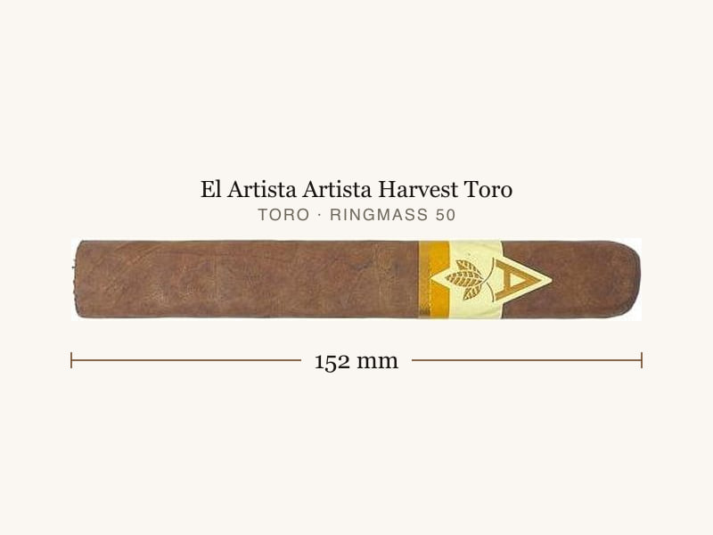 El Artista Artista Harvest Toro, Maßangaben: Länge 152 mm, Ringmaß 50