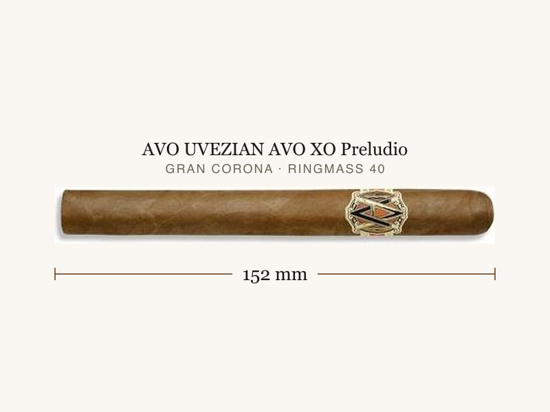 AVO UVEZIAN AVO XO Preludio, Maßangaben: Länge 152 mm, Ringmaß 40