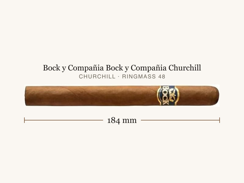Bock y Compañia Bock y Compañia Churchill, Maßangaben: Länge 184 mm, Ringmaß 48