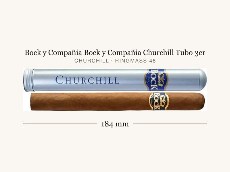Bock y Compañia Bock y Compañia Churchill Tubo 3er, Maßangaben: Länge 184 mm, Ringmaß 48