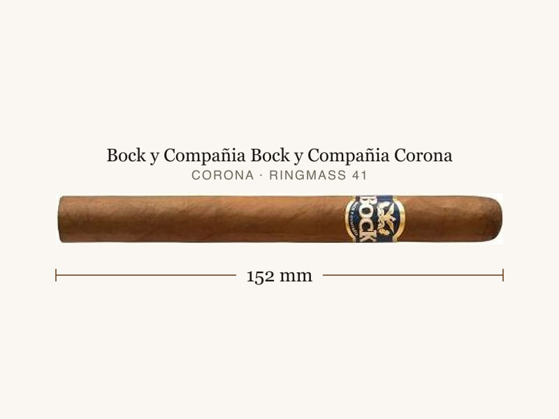 Bock y Compañia Bock y Compañia Corona, Maßangaben: Länge 152 mm, Ringmaß 41