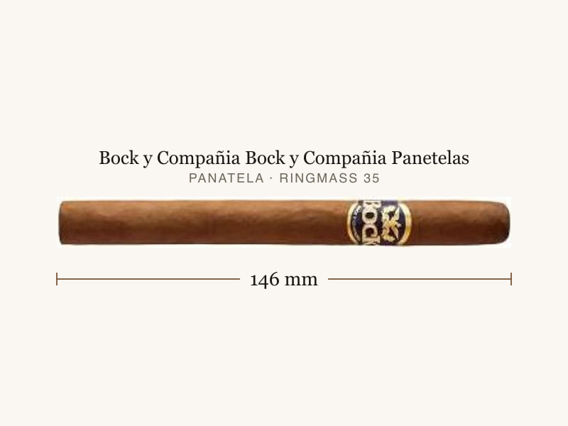 Bock y Compañia Bock y Compañia Panetelas, Maßangaben: Länge 146 mm, Ringmaß 35