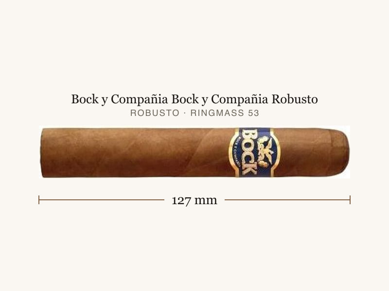 Bock y Compañia Bock y Compañia Robusto, Maßangaben: Länge 127 mm, Ringmaß 53