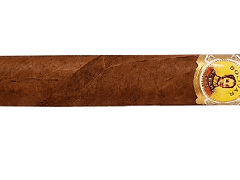 Bolivar Bolivar Petit Coronas, Detailansicht