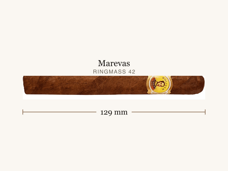 Bolivar Bolivar Petit Coronas, Maßangaben: Länge 129 mm, Ringmaß 42