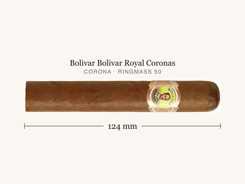 Bolivar Bolivar Royal Coronas, Maßangaben: Länge 124 mm, Ringmaß 50