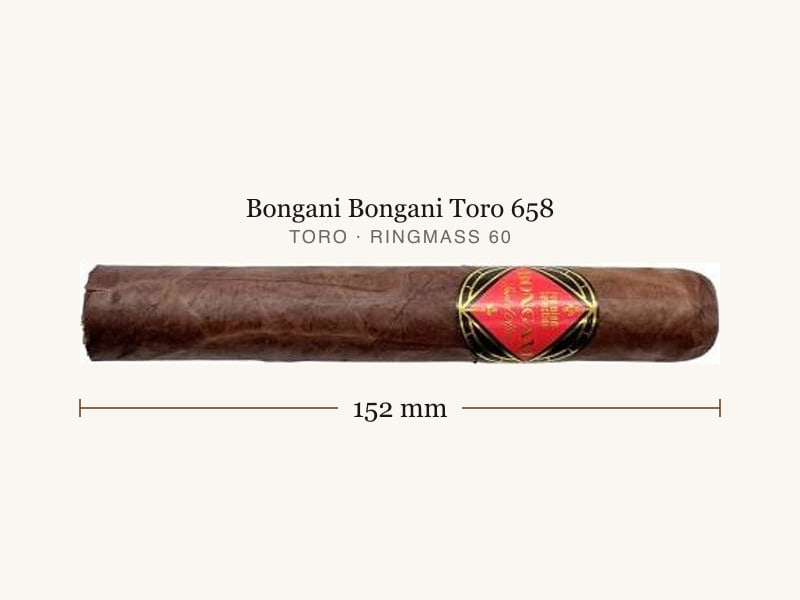 Bongani Bongani Toro 658, Maßangaben: Länge 152 mm, Ringmaß 60