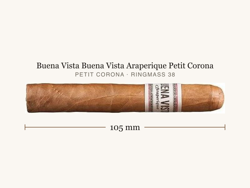 Buena Vista Buena Vista Araperique Petit Corona, Maßangaben: Länge 105 mm, Ringmaß 38