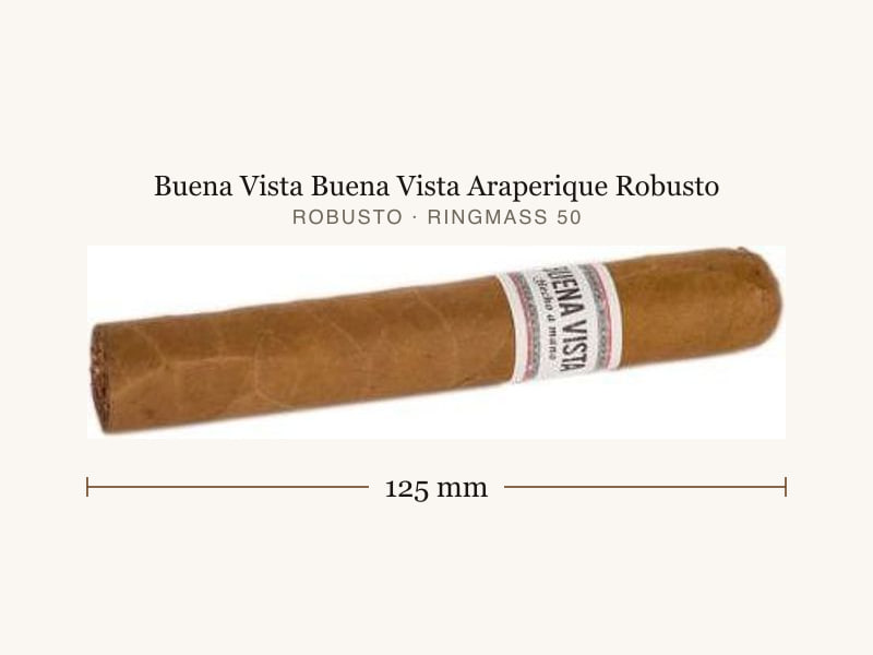 Buena Vista Buena Vista Araperique Robusto, Maßangaben: Länge 125 mm, Ringmaß 50