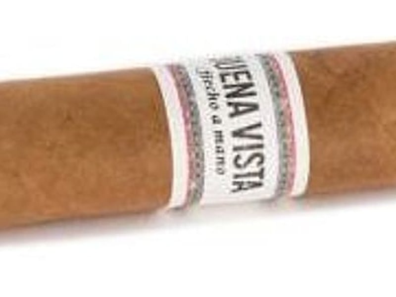 Buena Vista Buena Vista Araperique Short Robusto, Detailansicht
