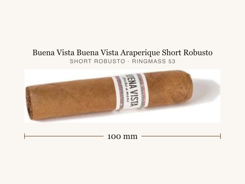 Buena Vista Buena Vista Araperique Short Robusto, Maßangaben: Länge 100 mm, Ringmaß 53