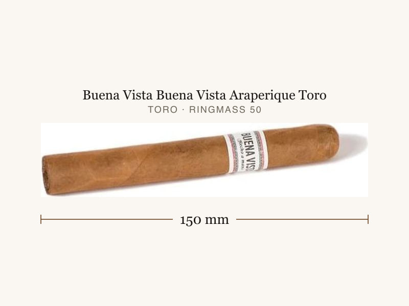 Buena Vista Buena Vista Araperique Toro, Maßangaben: Länge 150 mm, Ringmaß 50