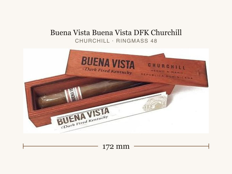 Buena Vista Buena Vista DFK Churchill, Maßangaben: Länge 172 mm, Ringmaß 48