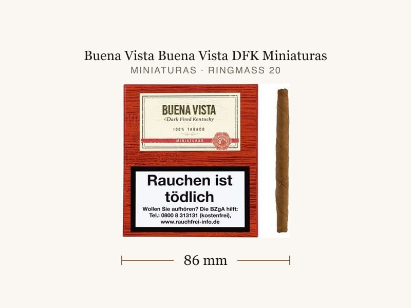 Buena Vista Buena Vista DFK Miniaturas, Maßangaben: Länge 86 mm, Ringmaß 20