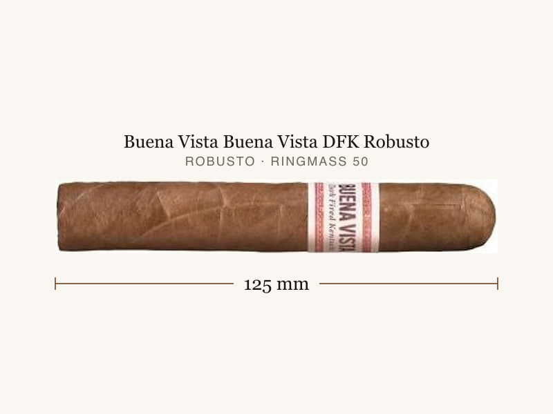 Buena Vista Buena Vista DFK Robusto, Maßangaben: Länge 125 mm, Ringmaß 50