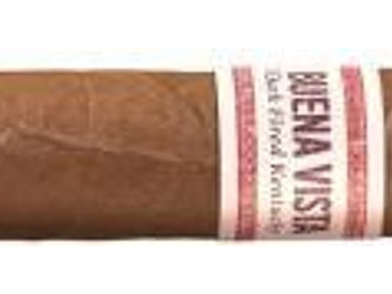 Buena Vista Buena Vista DFK Short Robusto, Detailansicht