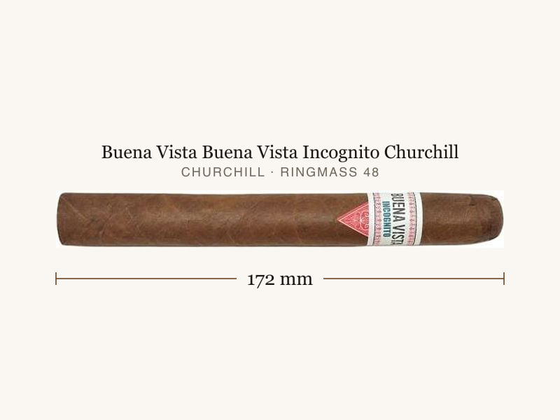 Buena Vista Buena Vista Incognito Churchill, Maßangaben: Länge 172 mm, Ringmaß 48