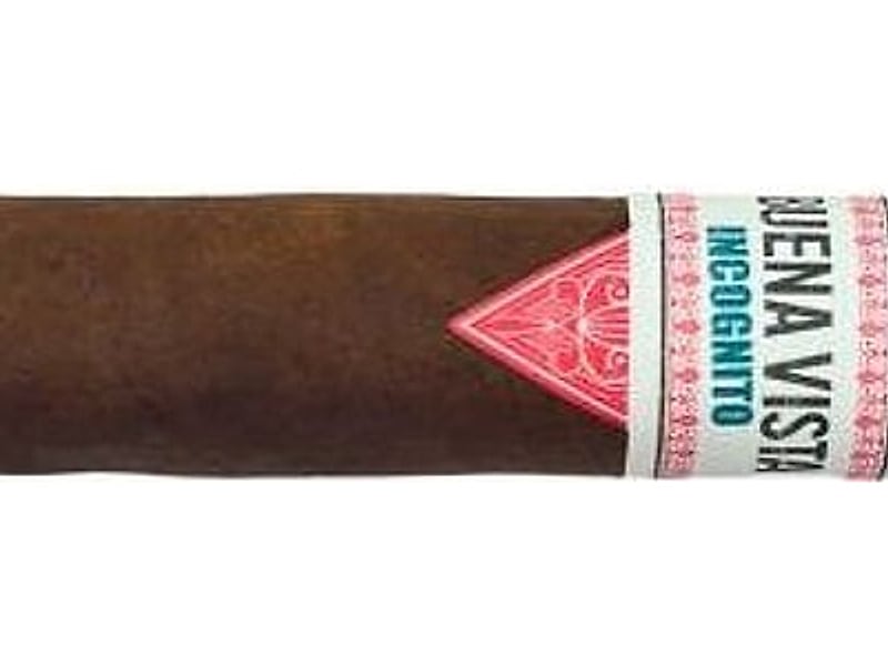 Buena Vista Buena Vista Incognito Robusto, Detailansicht