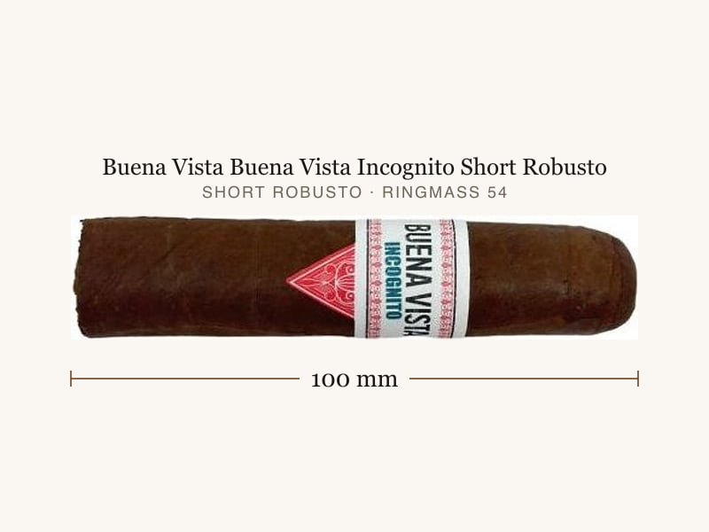 Buena Vista Buena Vista Incognito Short Robusto, Maßangaben: Länge 100 mm, Ringmaß 54