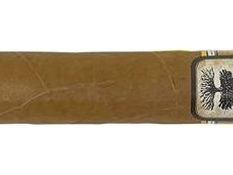 Charter Oak Charter Oak Shade Grande, Detailansicht
