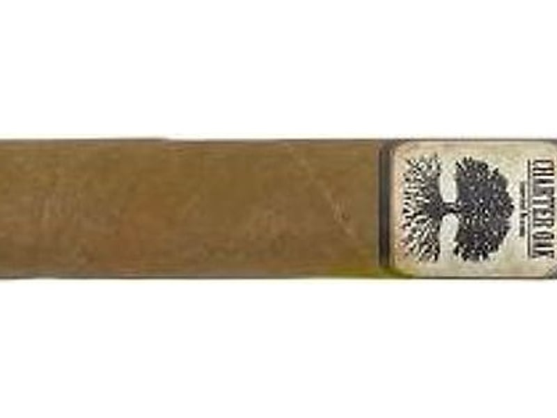 Charter Oak Charter Oak Shade Petit Corona, Detailansicht