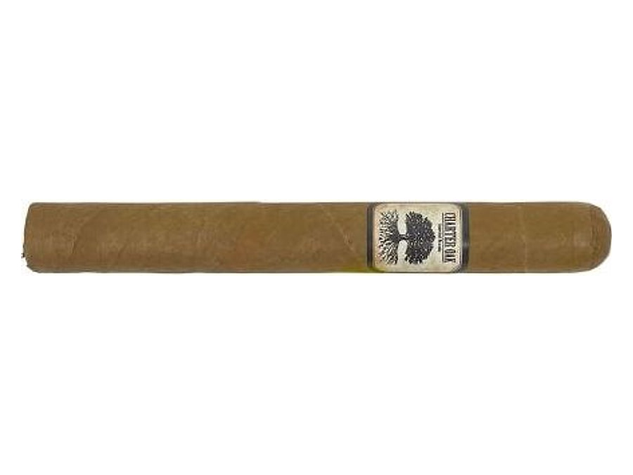 Charter Oak Shade Petit Corona, Format Petit Corona, Herkunft Nicaragua