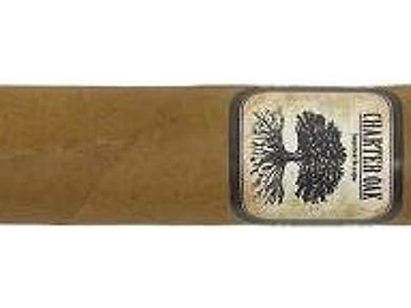 Charter Oak Charter Oak Shade Rothschild, Detailansicht