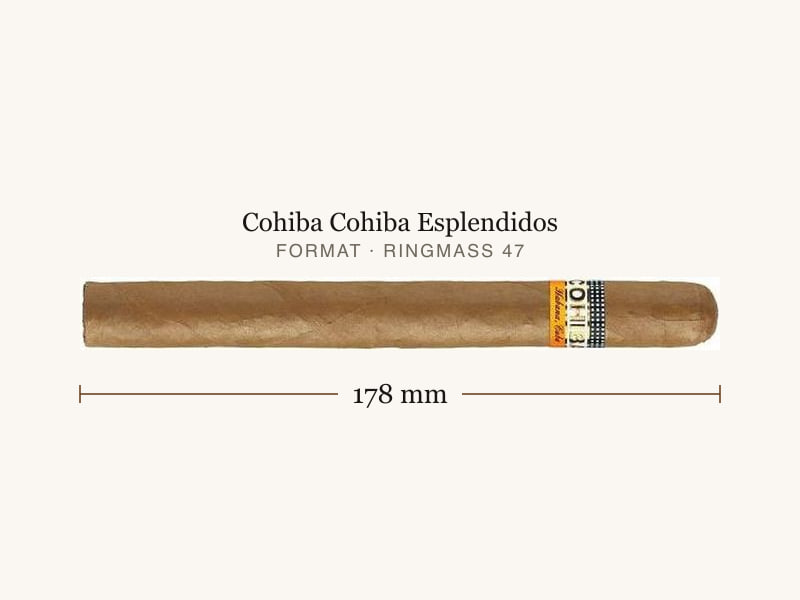 Cohiba Cohiba Esplendidos, Maßangaben: Länge 178 mm, Ringmaß 47