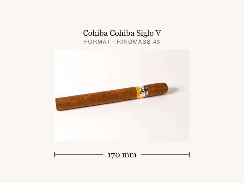 Cohiba Cohiba Siglo V, Maßangaben: Länge 170 mm, Ringmaß 43