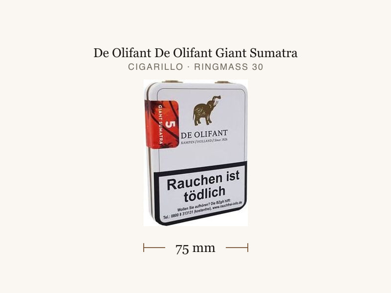 De Olifant De Olifant Giant Sumatra, Maßangaben: Länge 75 mm, Ringmaß 30