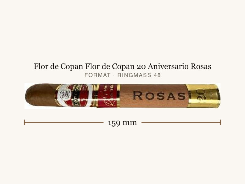 Flor de Copan Flor de Copan 20 Aniversario Rosas, Maßangaben: Länge 159 mm, Ringmaß 48