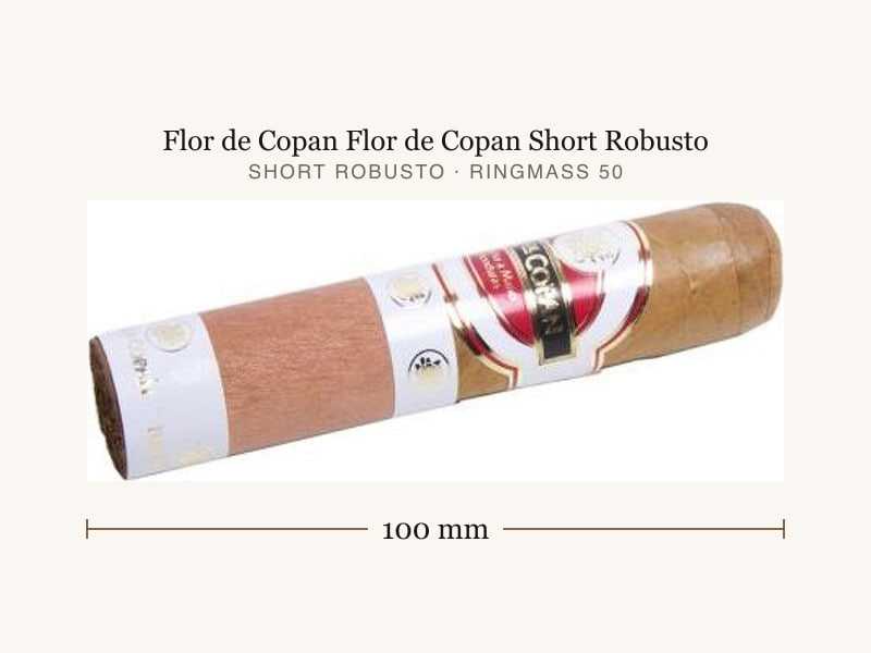 Flor de Copan Flor de Copan Short Robusto, Maßangaben: Länge 100 mm, Ringmaß 50