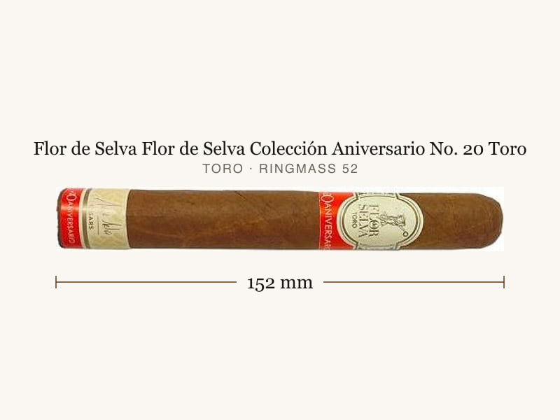 Flor de Selva Flor de Selva Colección Aniversario No. 20 Toro, Maßangaben: Länge 152 mm, Ringmaß 52