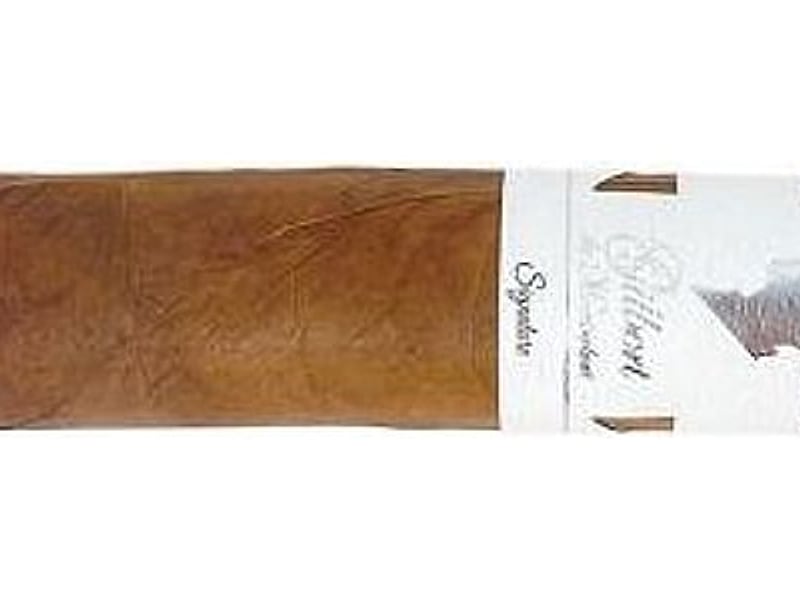 Gilbert de Montsalvat Gilbert de Montsalvat Signature Robusto, Detailansicht