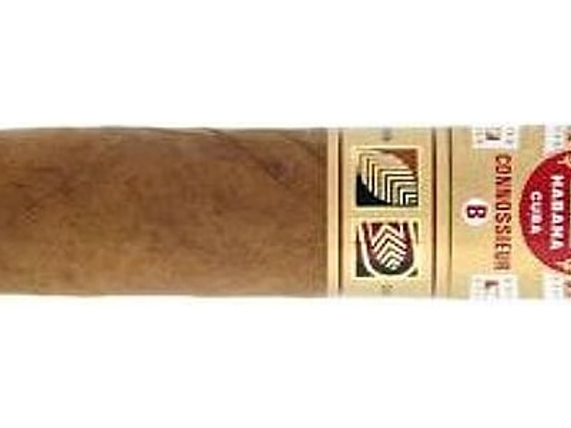 H. Upmann H. Upmann Connossieur B, Detailansicht