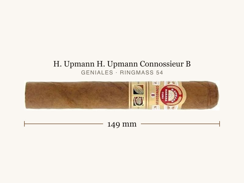 H. Upmann H. Upmann Connossieur B, Maßangaben: Länge 149 mm, Ringmaß 54