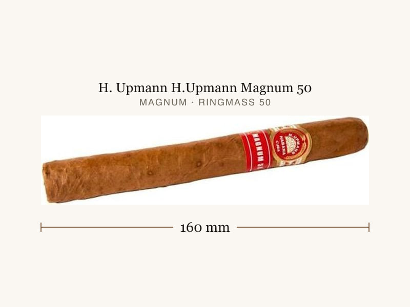 H. Upmann H.Upmann Magnum 50, Maßangaben: Länge 160 mm, Ringmaß 50