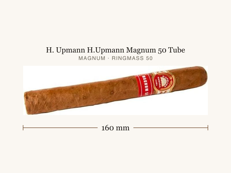 H. Upmann H.Upmann Magnum 50 Tube, Maßangaben: Länge 160 mm, Ringmaß 50