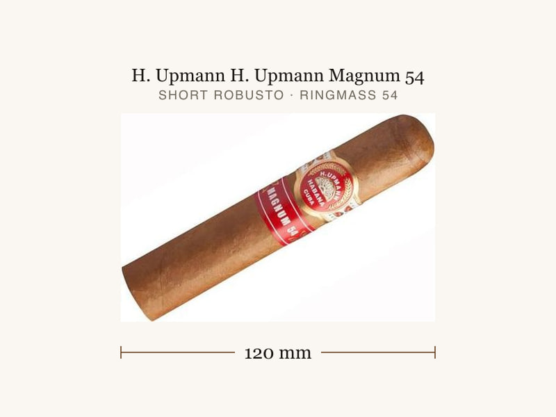H. Upmann H. Upmann Magnum 54, Maßangaben: Länge 120 mm, Ringmaß 54