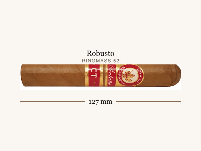 Joya de Nicaragua Joya de Nicaragua Antaño CT Robusto, Maßangaben: Länge 127 mm, Ringmaß 52