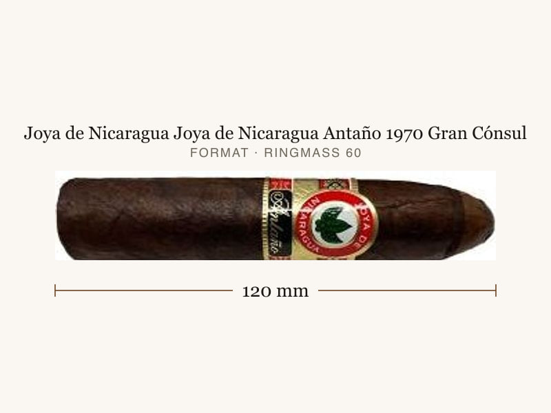Joya de Nicaragua Joya de Nicaragua Antaño 1970 Gran Cónsul, Maßangaben: Länge 120 mm, Ringmaß 60