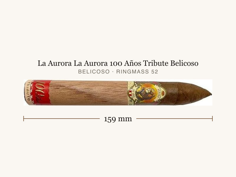 La Aurora La Aurora 100 Años Tribute Belicoso, Maßangaben: Länge 159 mm, Ringmaß 52