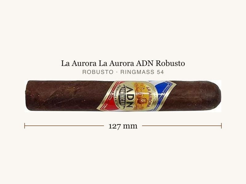 La Aurora La Aurora ADN Robusto, Maßangaben: Länge 127 mm, Ringmaß 54